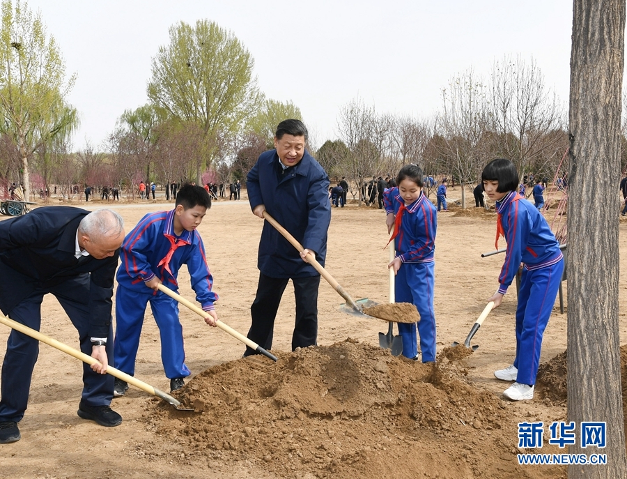 席大大：推动国土绿化不断取得实实在在的成效